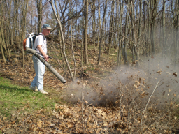 Leaf Blower image from www.ojaipost.com/2008/06/leaf_blower_pros_and_cons.shtml
